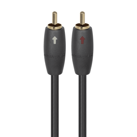 AudioQuest Alpha - Snake RCA > RCA i - Pack - ASNAKEI0.5M 0.5 m = 1 ft 7 in